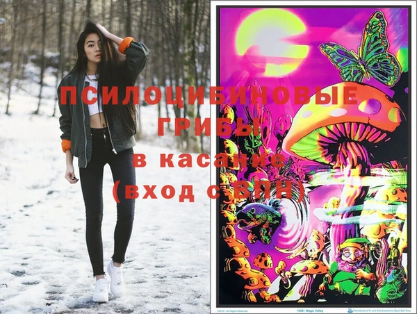 ПСИЛОЦИБИНОВЫЕ ГРИБЫ Зерноград