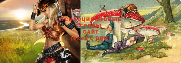 a pvp Зеленодольск