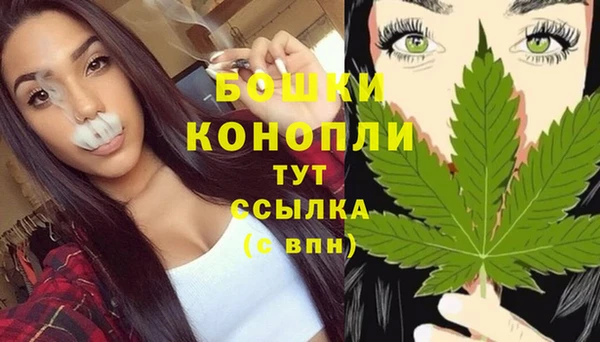 ПСИЛОЦИБИНОВЫЕ ГРИБЫ Зерноград