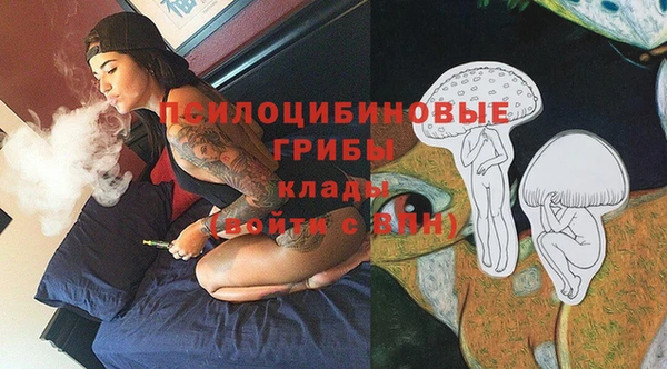 ПСИЛОЦИБИНОВЫЕ ГРИБЫ Зерноград