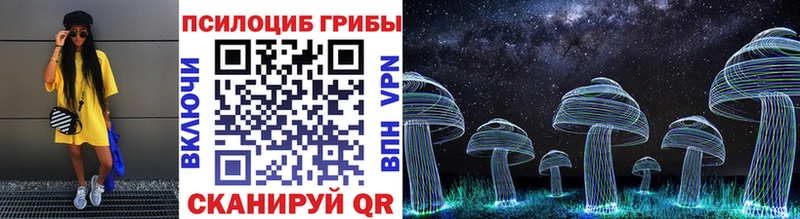 Купить закладки  Коряжма  Псилоцибиновые грибы MAGIC MUSHROOMS 